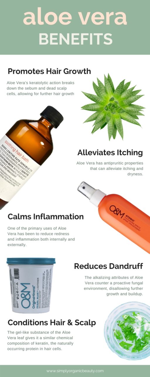 Aloe-Vera-Hair-Benefits