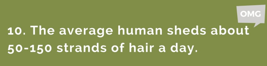 hair-loss-facts