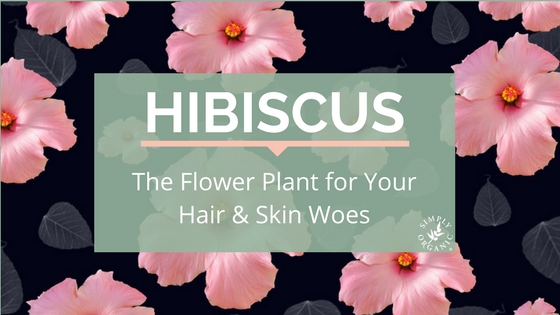 HIBISCUS BENEFITS: The Flower Plant That Can Cure Your Hair and Skin Woes -  Simply Organics