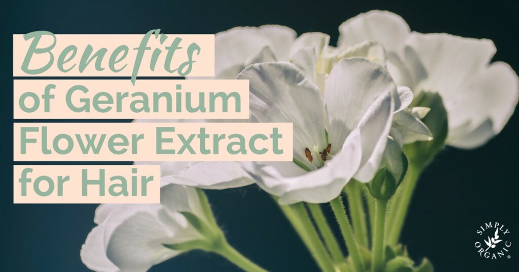 Benefits-of-Geranium-Flower-Extract