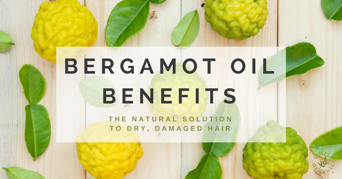 Bergamot Oil Benefits The Natural Solution To Dry Damaged Hair