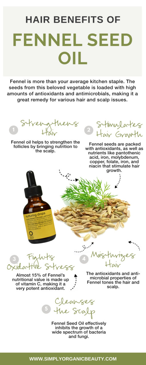 FENNEL SEED OIL BENEFITS The Beauty Hack To Healthy Hair Simply