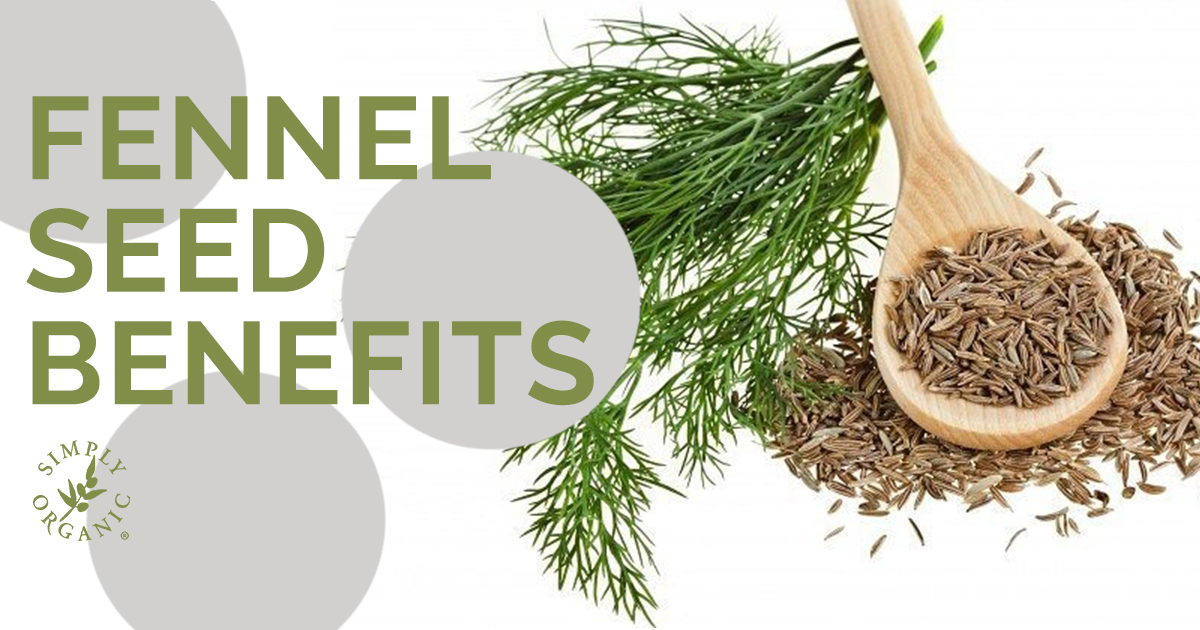 FENNEL SEED OIL BENEFITS: The Beauty Hack to Healthy Hair - Simply Organics