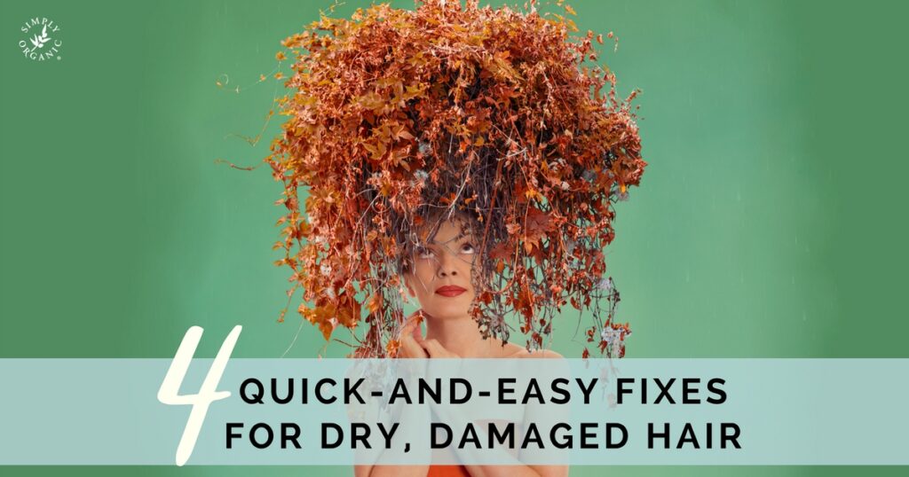 how-to-repair-dry-damaged-hair