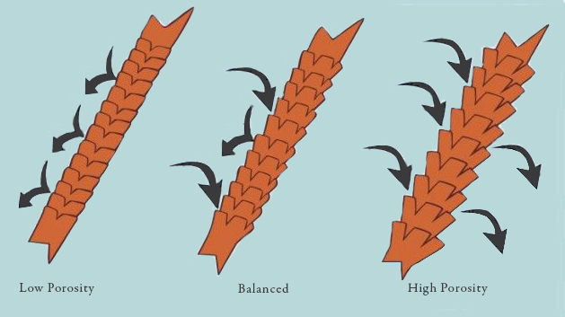 Hair Porosity Chart