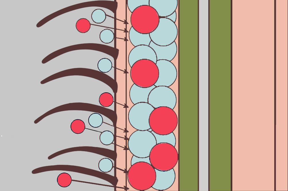 permanent-hair-color-molecules