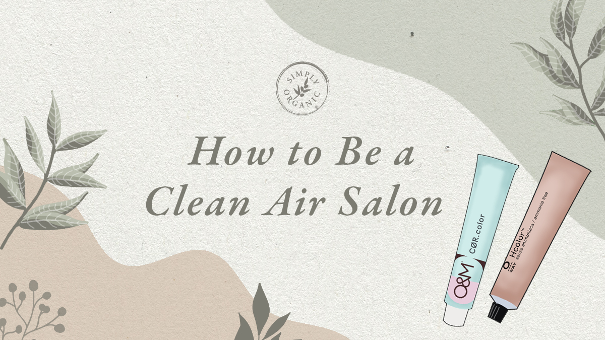 how-to-be-a-clean-air-salon
