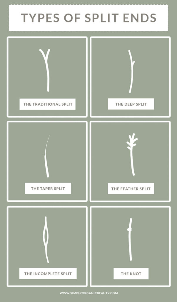 A Comprehensive Guide to Split Ends: Types, Causes & Treatments - Simply  Organic Beauty