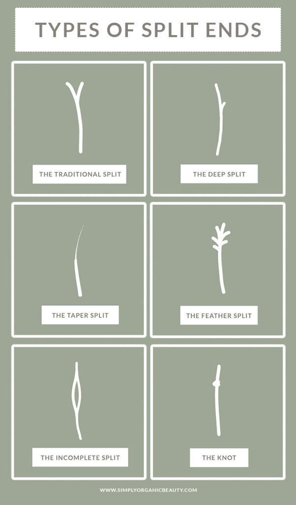 Different Types of Split Ends and What They Mean