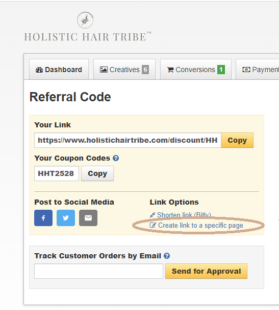 salon-website-help-holistic-hair-tribe
