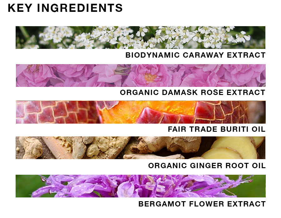 Oway-Smoothing-Ingredients