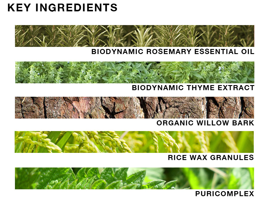 Oway-Purifying-Ingredients