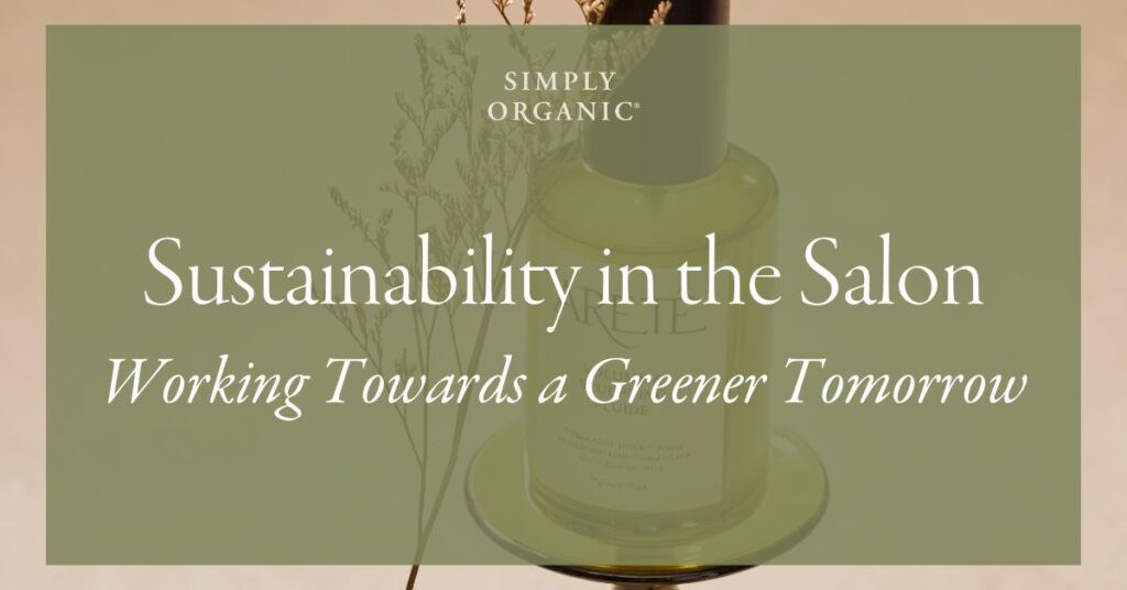 Sustainability in the Salon Blog Header