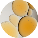 Isoamyl Laurate_Ingredient Icon